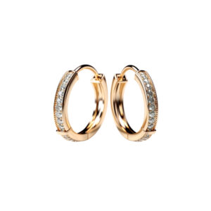 Gold Hoop Earring